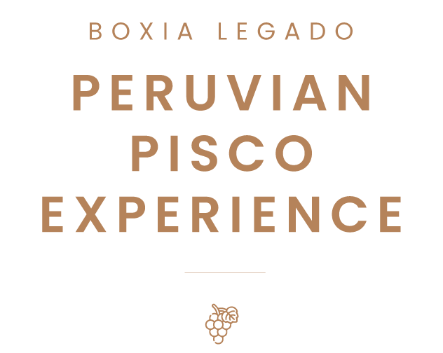 Peruvian Pisco Experience